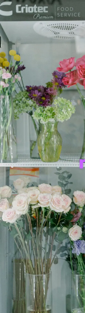 Refrigerador de flores frescas de mocca moca, con rosas y claveles en floreros